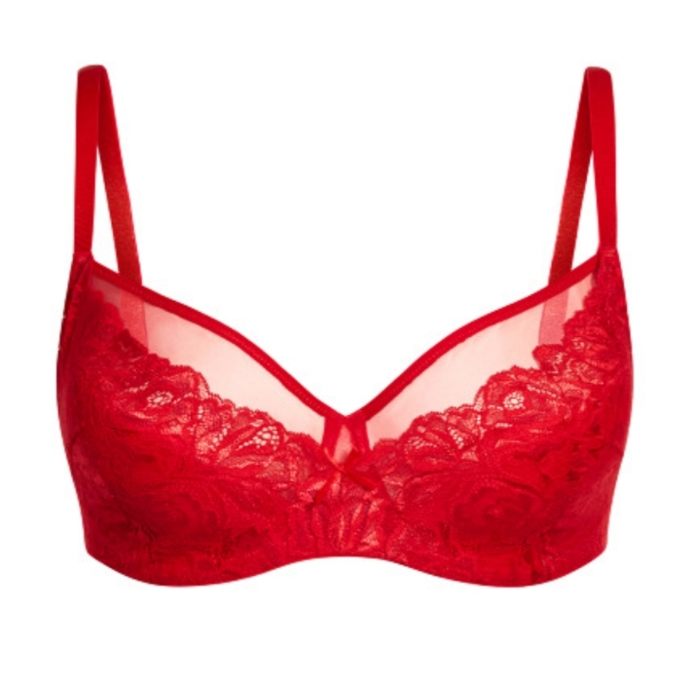 Hips and Curves duet demi red bra